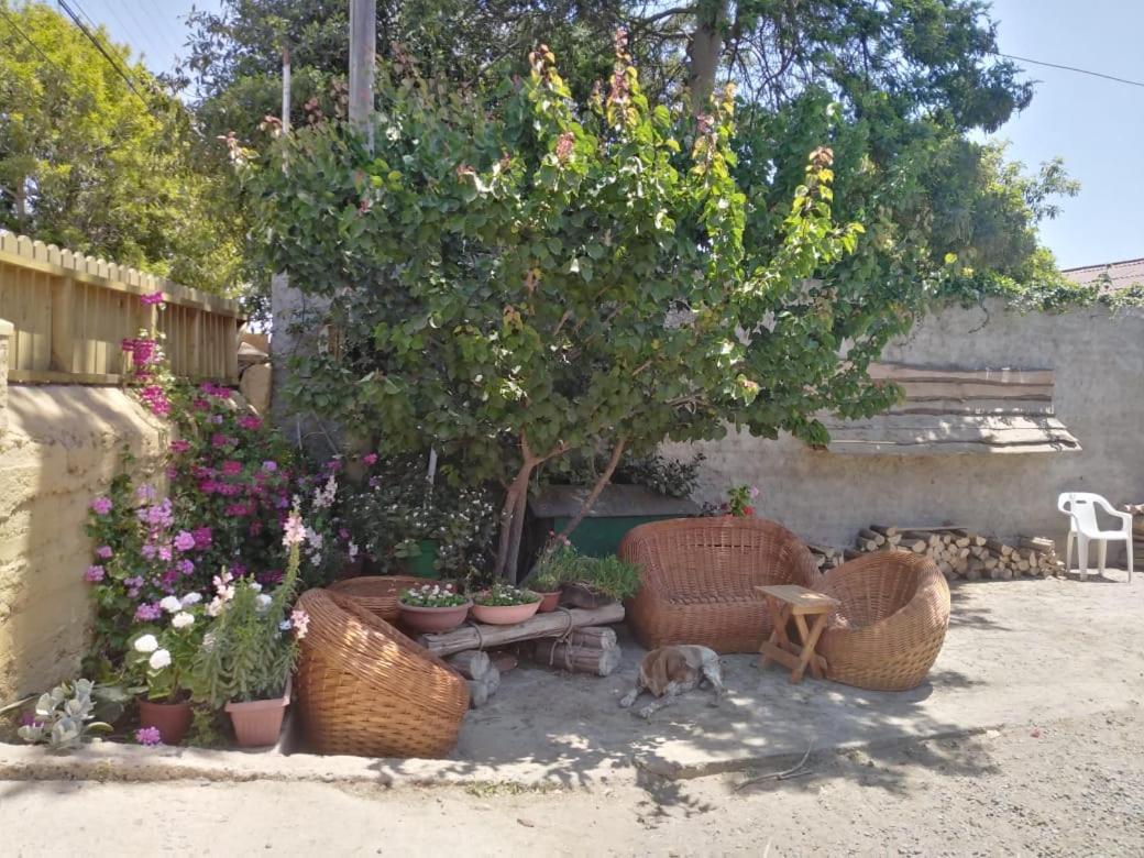 Cabanas Aire Marino Algarrobo Dış mekan fotoğraf